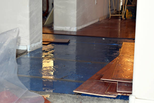 Professional Water Damage Restoration technician working in Cleveland, MO
